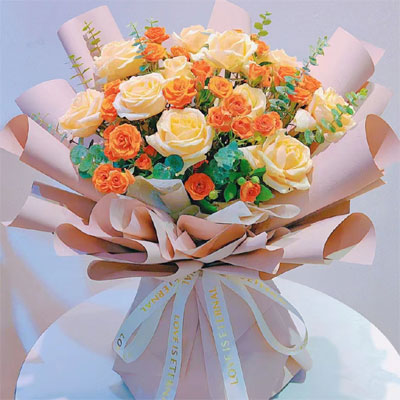 light roses to city