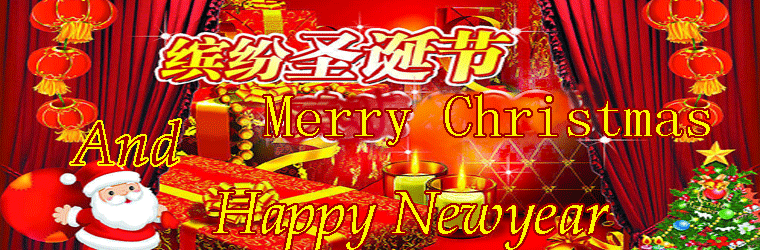 send xmas flowers to china